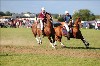 UKPA  NC Sat_1484